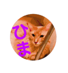 レオたんスタンプ2だよ（個別スタンプ：8）