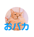 レオたんスタンプ2だよ（個別スタンプ：12）