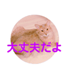 レオたんスタンプ2だよ（個別スタンプ：18）