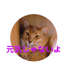レオたんスタンプ2だよ（個別スタンプ：21）
