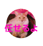 レオたんスタンプ2だよ（個別スタンプ：24）