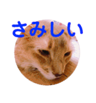 レオたんスタンプ2だよ（個別スタンプ：26）