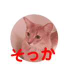 レオたんスタンプ2だよ（個別スタンプ：29）