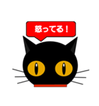 black cat tete 日常会話編 2（個別スタンプ：31）