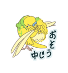 もちふわインコ（個別スタンプ：7）