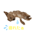 bungoのスタンプ（個別スタンプ：6）