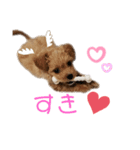 bungoのスタンプ（個別スタンプ：7）