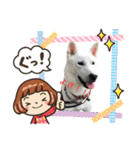 ハクのスタンプ2（個別スタンプ：16）