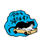 猫～今日は何をする？（個別スタンプ：5）