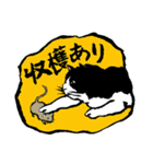 猫～今日は何をする？（個別スタンプ：33）