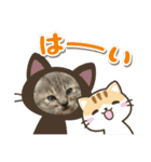 保護猫 ＆ COCO ❸（個別スタンプ：8）