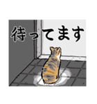 猫の菊ちゃんスタンプ（個別スタンプ：39）