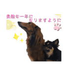 ChappyCooChocoTaro（個別スタンプ：4）