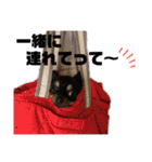 ChappyCooChocoTaro（個別スタンプ：22）