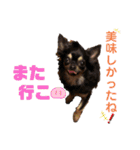 ChappyCooChocoTaro（個別スタンプ：23）