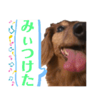 ChappyCooChocoTaro（個別スタンプ：29）