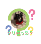 ChappyCooChocoTaro（個別スタンプ：34）