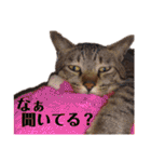 ChappyCooChocoTaro（個別スタンプ：35）