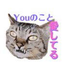 ChappyCooChocoTaro（個別スタンプ：39）