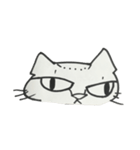 molスタンプ（個別スタンプ：7）