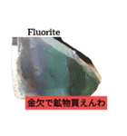 鉱物＆インコスタンプ（個別スタンプ：1）