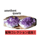 鉱物＆インコスタンプ（個別スタンプ：3）