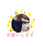 2匹のしばいぬ！日常会話2‗大きめ文字（個別スタンプ：19）