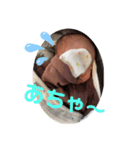 Noaaaa74.1（個別スタンプ：3）
