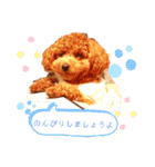 トイプードルとうさぎ（個別スタンプ：20）