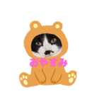 コナン君ぱーとわん（個別スタンプ：2）