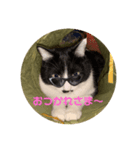 コナン君ぱーとわん（個別スタンプ：3）