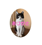 コナン君ぱーとわん（個別スタンプ：5）