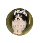 コナン君ぱーとわん（個別スタンプ：8）