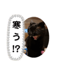 俺スタンプ  8  (冬編)（個別スタンプ：2）