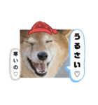 俺スタンプ  8  (冬編)（個別スタンプ：3）
