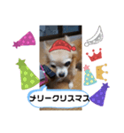 俺スタンプ  8  (冬編)（個別スタンプ：4）