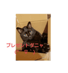 俺スタンプ  8  (冬編)（個別スタンプ：6）
