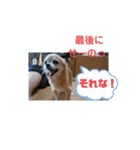 俺スタンプ  8  (冬編)（個別スタンプ：8）