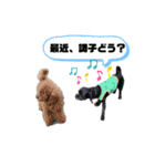 うーたんの毎日スタンプ2（個別スタンプ：5）