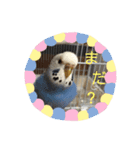 ラムネちゃん♡（個別スタンプ：2）