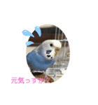 ラムネちゃん♡（個別スタンプ：4）