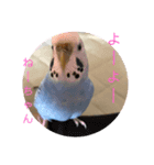 ラムネちゃん♡（個別スタンプ：5）