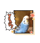 ラムネちゃん♡（個別スタンプ：7）