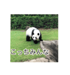 林家のペット達（個別スタンプ：1）