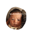 やなしゅんすたんぷ（個別スタンプ：1）