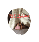 やなしゅんすたんぷ（個別スタンプ：3）