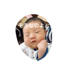 やなしゅんすたんぷ（個別スタンプ：6）