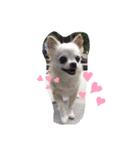 てちてちくーちゃん（個別スタンプ：5）