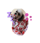 てちてちくーちゃん（個別スタンプ：7）
