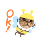 ねこだけどイタチ（個別スタンプ：1）